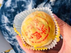 -百年泰康鲜肉月饼