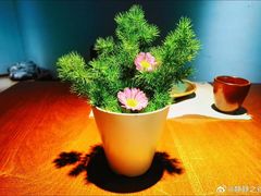 -菩提素素食餐厅(晶郦馆店)