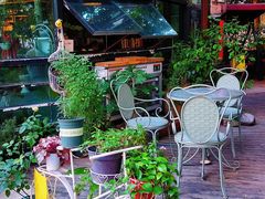 -NLFS1983咖啡花园餐厅(锦桂店)