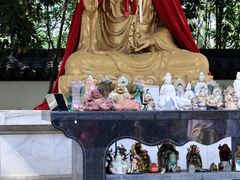 -上海佘山国家森林公园天马山园