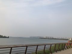 -丁香湖公园