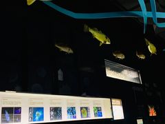 -同济大学四平路校区深海探索馆