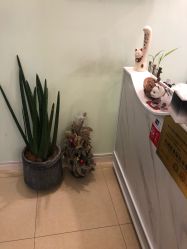 -苗方清颜·祛痘皮肤管理