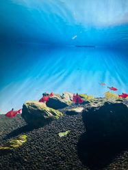 -青木造型HAIR·あおき髪を刈る潮人店