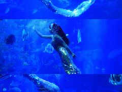 -太平洋海底世界