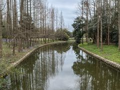 -上海滨江森林公园
