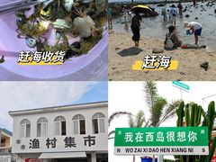 -三亚西岛海洋文化旅游区