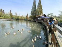 -溱湖国家湿地公园