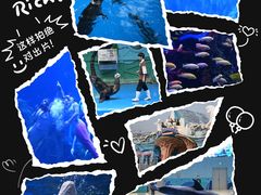 -石家庄极地海洋世界