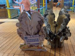 -蓝湾碧波·老字号·疍家非遗海上餐厅