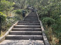 -巢湖姥山岛