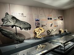 -自贡恐龙博物馆