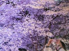 -西北湖绿化广场