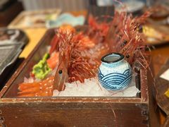-月龍吟(朝龙汇店)