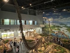 -自贡恐龙博物馆
