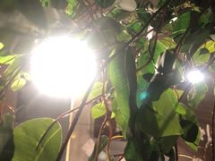 -钟书阁(群光广场店)