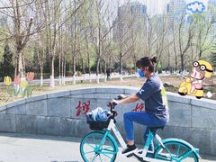 -长白岛森林公园