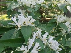-黑龙江省森林植物园