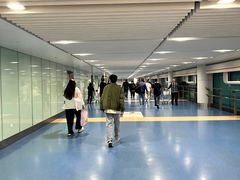 -重庆江北国际机场-T2航站楼