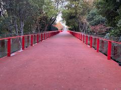 -青枫公园
