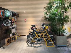 -大视光学•LINDBERG林德伯格•全球手工眼镜集合店(王府井店)