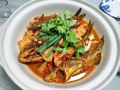-军子大排档(迎春花园店)