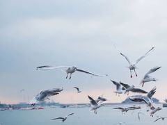 -蠡湖大桥公园