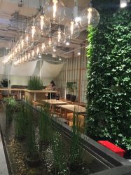 -悦诗风吟innisfree