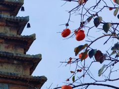 -北京石刻艺术博物馆(五塔寺)