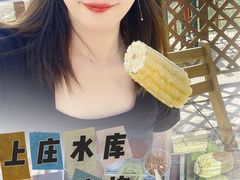 -尚庄度假村·庭台树下·户外烧烤·团建CS·轰趴营地(上庄水库店)