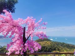 -鹿回头风景区