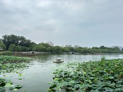 -济南大明湖景区