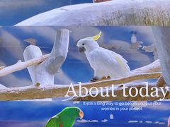 -石家庄市动物园