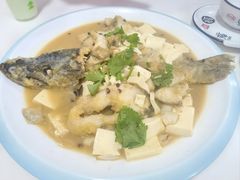 -煲来饱去冷水鱼