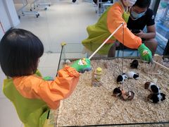 -怪兽屋·羊驼·猫咖·狗咖(俊华广场店)