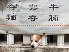 -小梁哥云吞面(黄贝岭店)