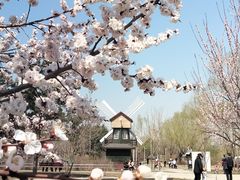 -长春公园(普阳街道)