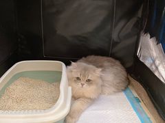 -凯德广场(武胜路店)