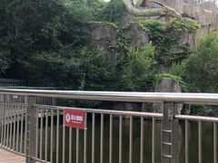 -龙塔