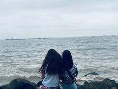 -吴淞炮台湾湿地森林公园烧烤区