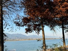 -东梓关景区村庄
