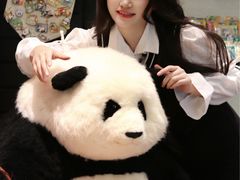 -轩客会(熊猫书店)