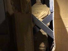 -秃鹫湾·推理大师沉浸式实景演绎推理剧场