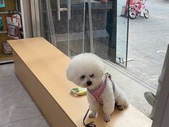 -瑞鹏宠物医院·超声·骨科·奇麟分院(蜀都万达店)