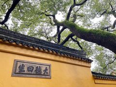 -西园戒幢律寺