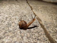 -白桦林温泉谷