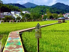 -红山村