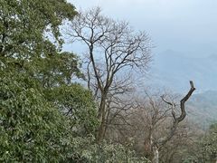-青城山