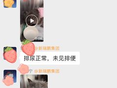-宠福鑫康馨动物医院·骨科·眼科