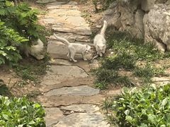 -李叔同故居纪念馆